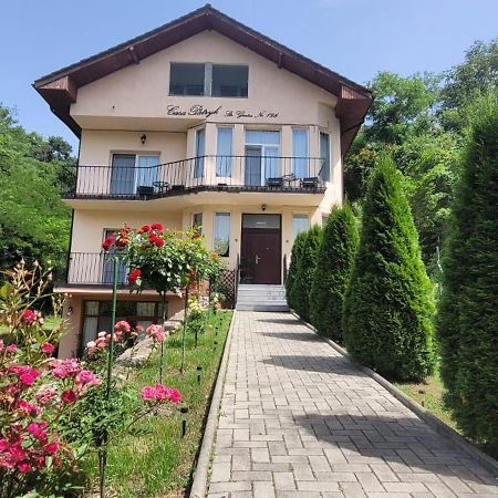 Casa Patryk Hotel Orşova Eksteriør billede
