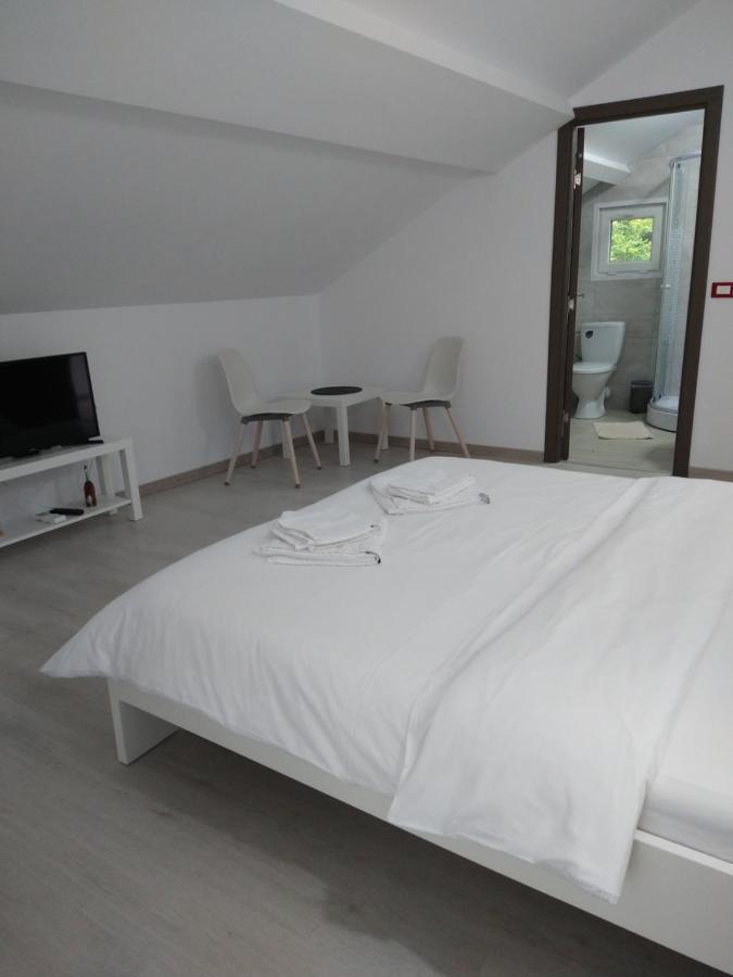 Casa Patryk Hotel Orşova Eksteriør billede