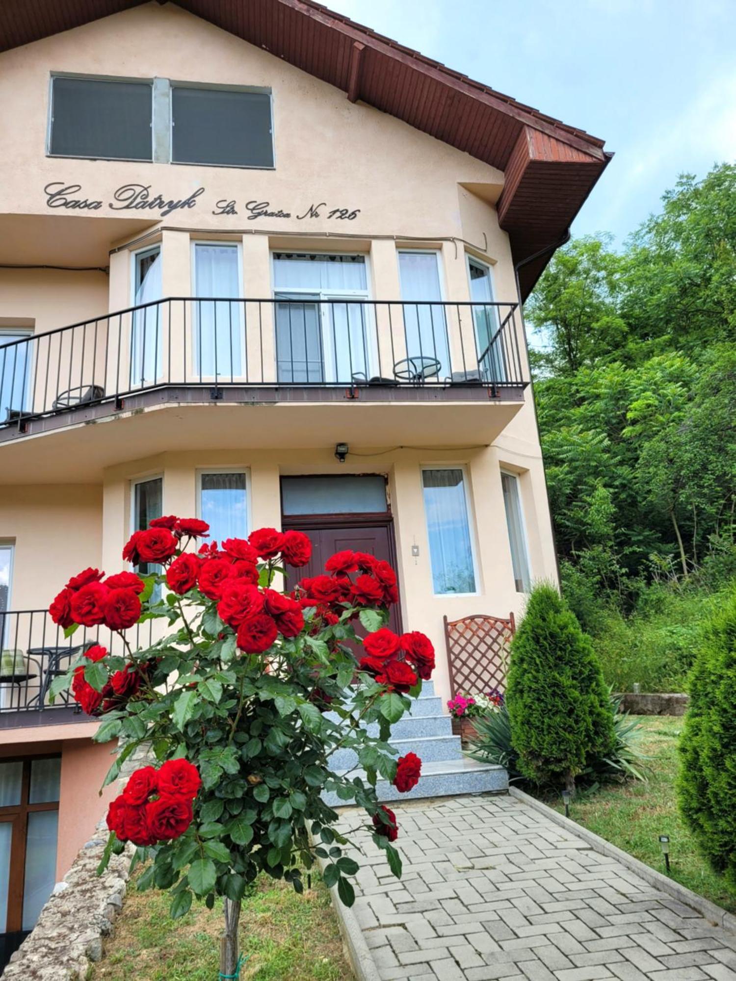 Casa Patryk Hotel Orşova Eksteriør billede