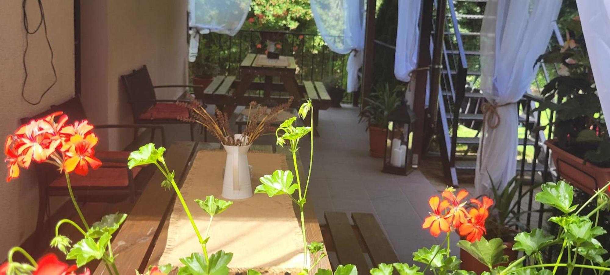 Casa Patryk Hotel Orşova Eksteriør billede